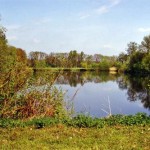 Geheimtipp: Teich 4